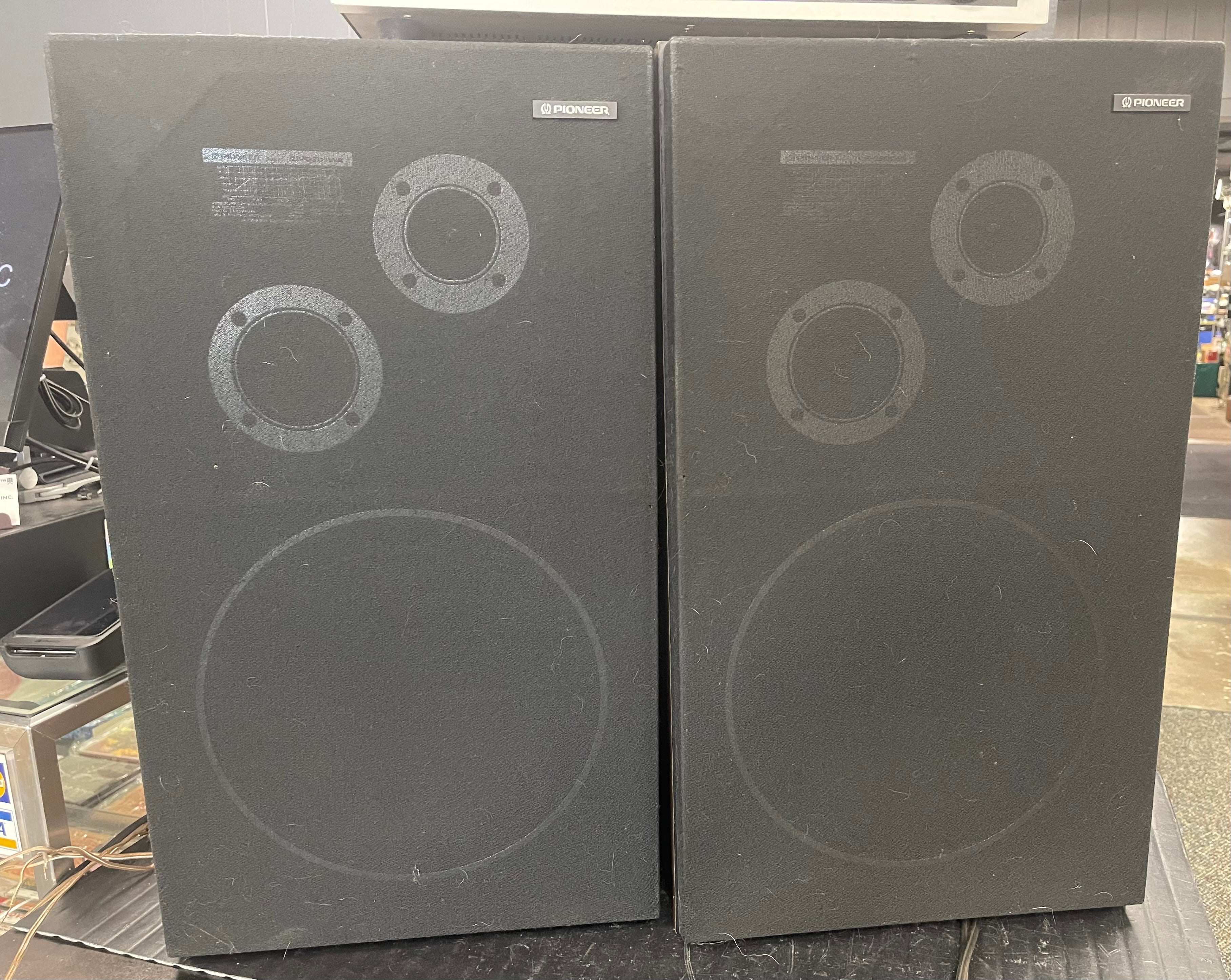 Pioneer CS-G201WA Speakers